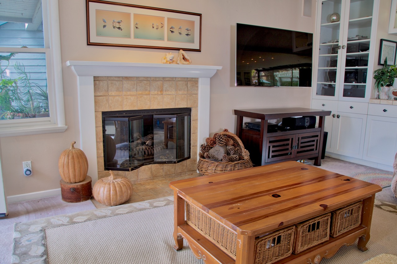 Contemporary Fireplace