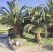 frontgate.webp