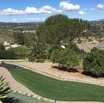 orchardandlawn.webp