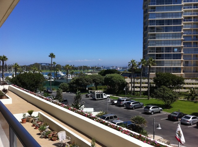 Beautiful Bay and Bridge View